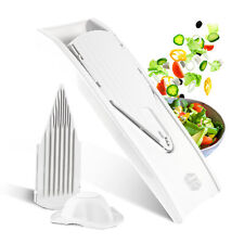 Börner V1 Basis Set