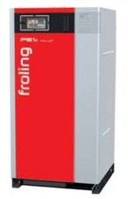 Fröling Brennwertkessel PE1c Pellets 22