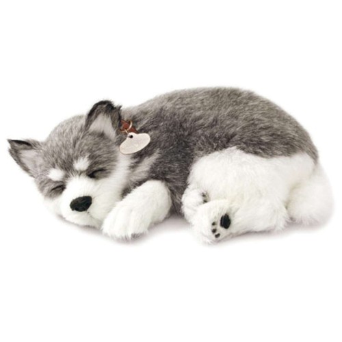 Perfect petzzz 96132 alaskan - petzzz,