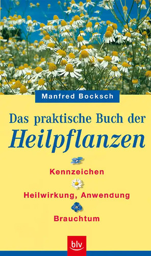 Das praktische buch - das, der