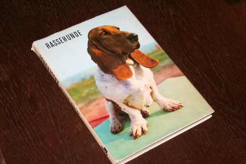 Najman novtný rassehunde - novtný,