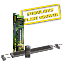 EXO TERRA TERRASKY - PLANTED