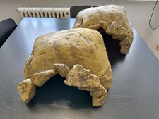 Eine(!) Exo Terra Tortoise Cave Höhle für Reptilien Schildkröten für Terrarium