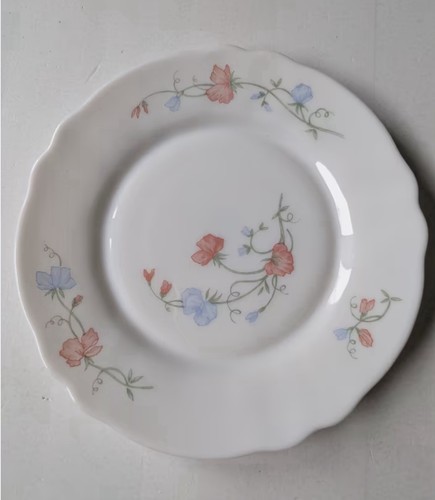 Arcopal pois senteur - pois,