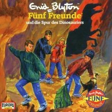 Fünf Freunde - Folge 41: und