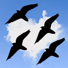 4x Vogel Aufkleber 15cm