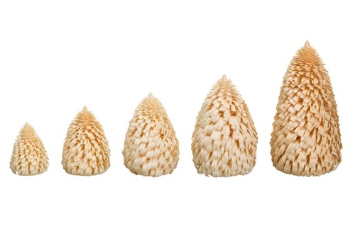 Ringelbaum winterfichte natur - ringelbaum,