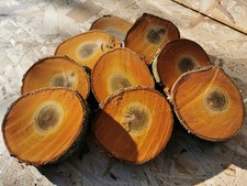 Baumscheibe Drechselholz Bastelholz Edelholz Apfel Kirsche Eiche Mirabelle