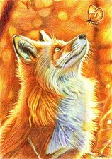 Originalzeichnung eines Fuchs
