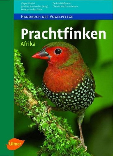 Prachtfinken afrika claudia - afrika, ~