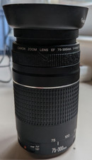 Canon EF 75-300 mm F/4.0-5.6
