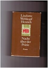 Nacht über der Prärie 