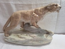 große Löwe Löwin  Lion