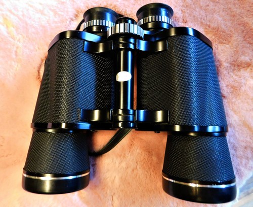 Fernglas panorama safari - panorama, 10