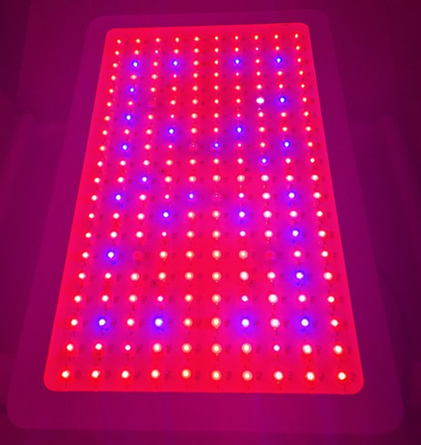 Led pflanzenlampe 600w - 600w, grow