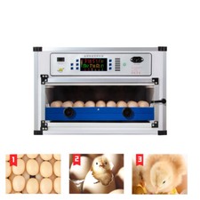 Vollautomatische Brutmaschine