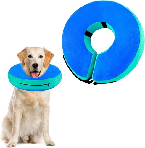 Halskrause hund katze - hund, &