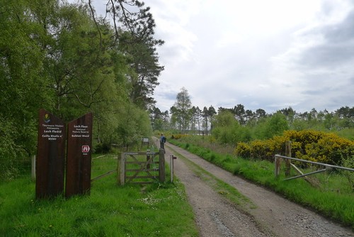 Foto eingang zum balblair - foto,