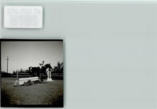 40006863 - 2852 Bederkesa