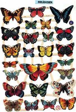 # GLANZBILDER # EF 7324  