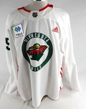 2022 minnesota wild - 2022-24, mason