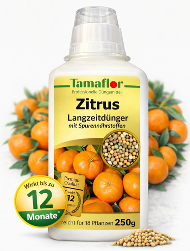 Zitrusdünger zitrus citrus - zitrusdünger,