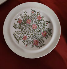 Hutschenreuther Tavola Teller