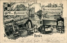 Litho Forst in der Lausitz