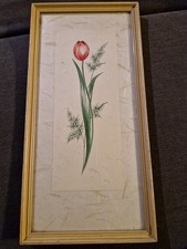 Zeichnung Blume Bild Gemälde Bilderrahmen  Holz 1959 Tulpe