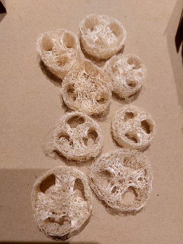 Luffa schwamm scheibe - schwamm,