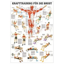 Mini-Poster "Krafttraining