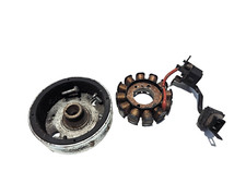 SCHWUNGRAD STATOR MAGNET