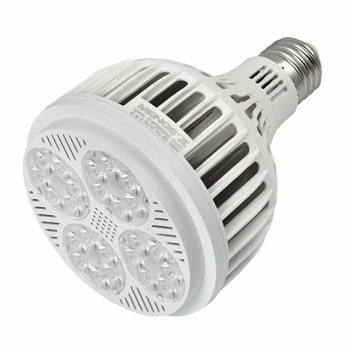E27 par30 25w - e27, led