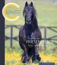 Friesenpferde Reiten, Fahren