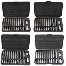 Vielzahn Ribe Torx Set XZN