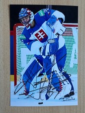 Julius Hudacek - Team Slowakei - Dresdner Eislöwen - Kölner Haie