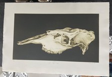 Signiert  Labisch 85 Stahl / Kupferstich 3 von 4      Bütten Wasserzeichenpapier