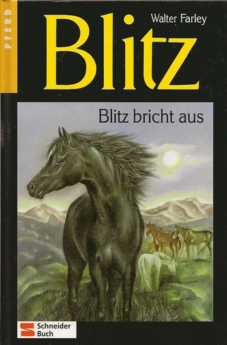 Blitz bricht aus - , walter