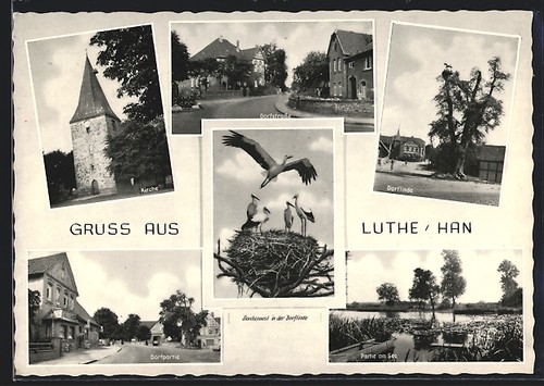 Luthe han storchennest - /han.,,