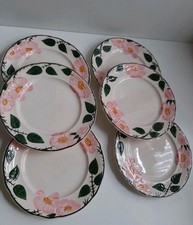 Villeroy & Boch Wildrose Faience Kuchenteller Teller Ø ca. 21 cm TOP Zustand