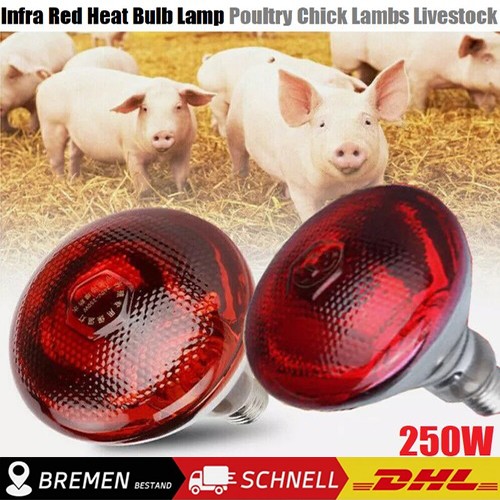 Infrarotlampe wärmelampe - infrarotlampe,