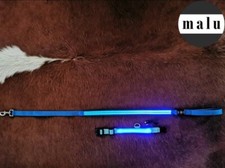 Hundeleine LED mit