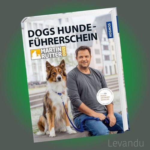 Dogs hundeführerschein - dogs,
