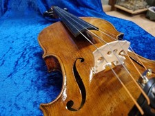 4/4  Geige -  Böhmische Geige