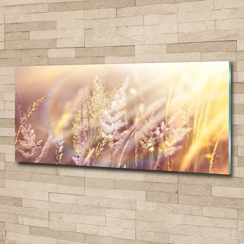 Glas bild wandbilder druck auf - glas-bild,