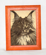 Brandmalerei Wandbild 15x20cm Maine-Coon-Katze Holz pyrography Holzrahmen Bild