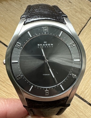 Skagen herrenuhr titanium - skagen,