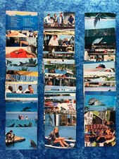 Flipper: Der Film EINZELNE