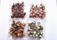 25 Foamrosen Schaumrosen