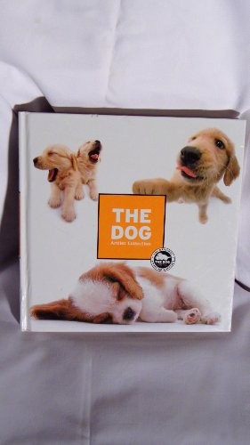 Artlist collection the - the, dog